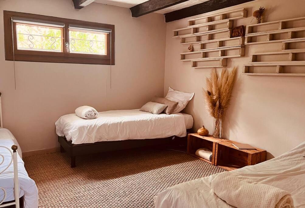 Villa Individuelle Familiale 4 A 12 Couchages Cuxac-dʼAude エクステリア 写真